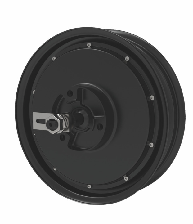 Two-Wheel Hub Motors