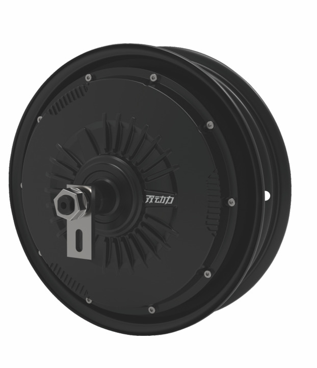 Eagle series-P motor