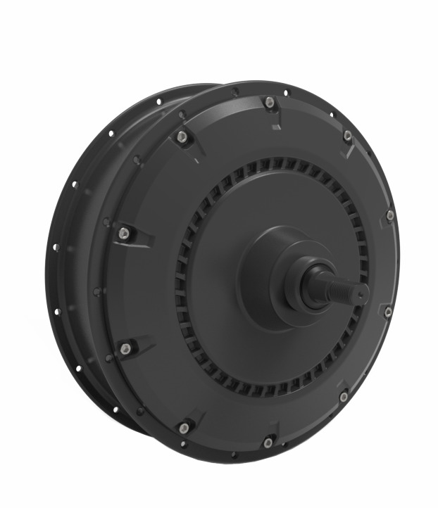 Ebike motor